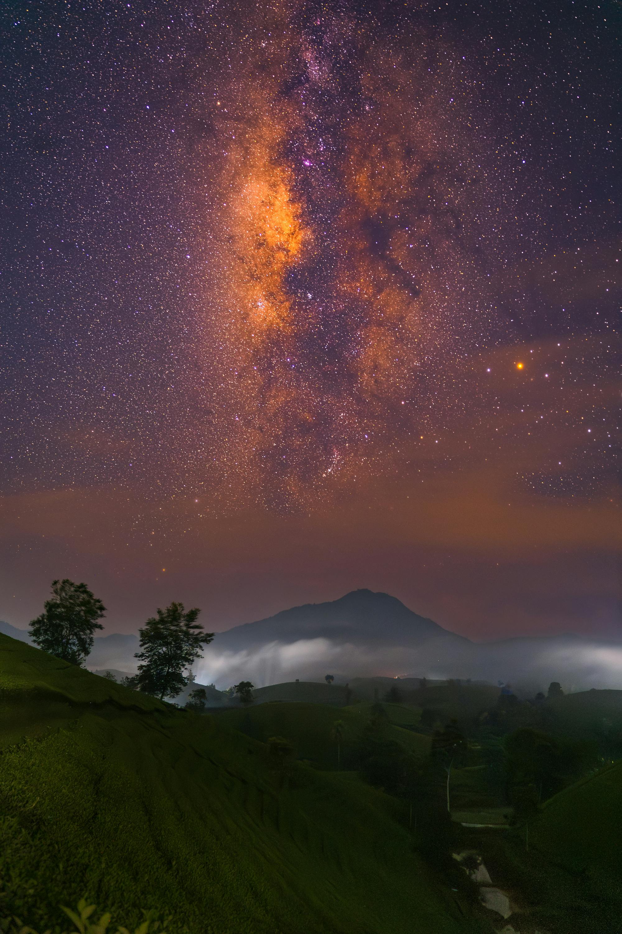 bright milkyway with palmtrees silhouetted in foreground